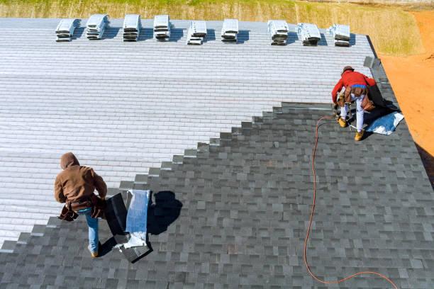 Best Roof Gutter Cleaning  in Iron Mountain, MI